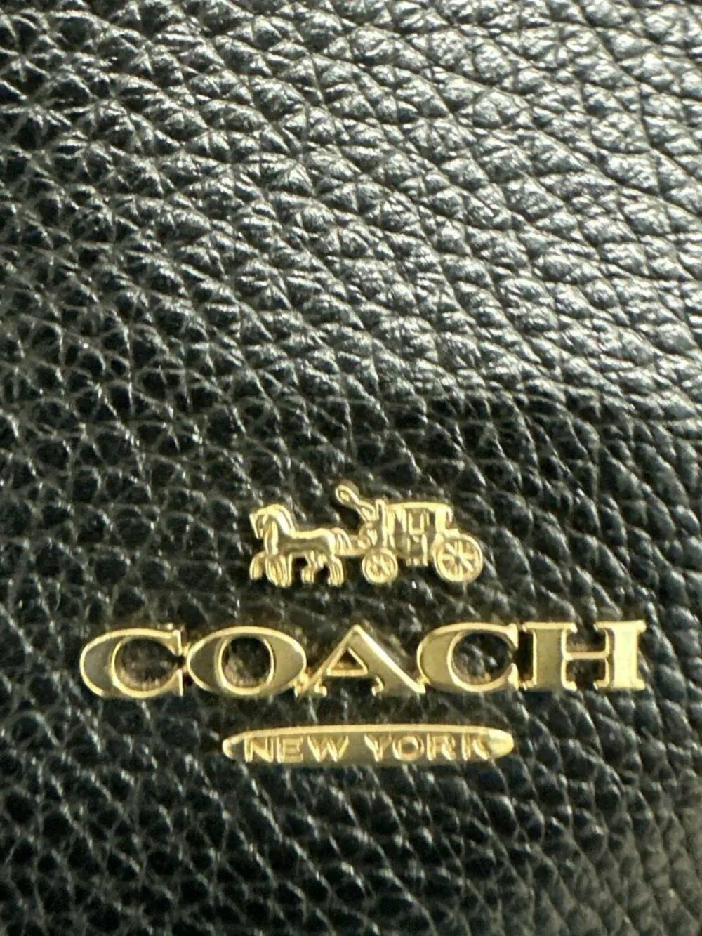 Coach Skylar Hobo Bag